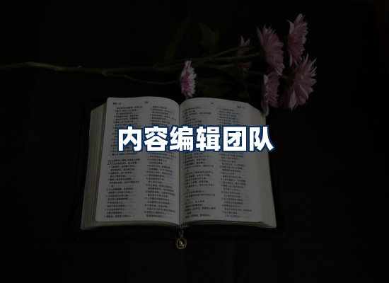 内容编辑团队